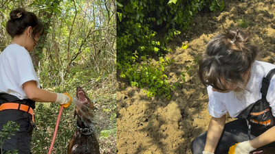 "Toprak işi bizden sorulur"