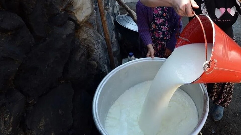 Süt alım fiyatına zam