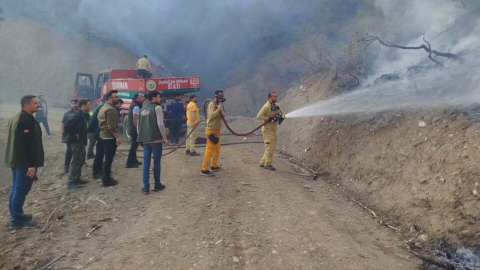 Sinop'ta orman yangını çıktı
