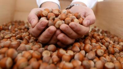 TMO fındık satışına başlıyor