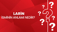 Larin isminin anlamı nedir?
