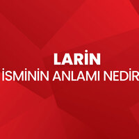Larin isminin anlamı nedir?