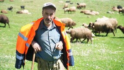 50 bin lira maaşla çoban aranıyor