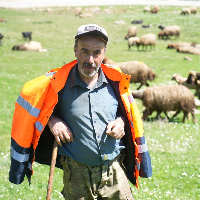 50 bin lira maaşla çoban aranıyor
