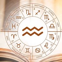 1 Şubat hangi burç?