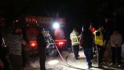 Yalova'da orman yangını