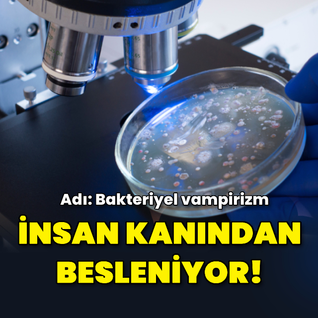 Bazı ölümcül bakteriler insan kanından besleniyor