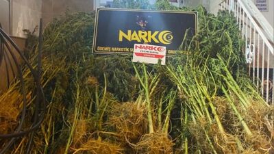 İzmir'de otogarda uyuşturucu operasyonu