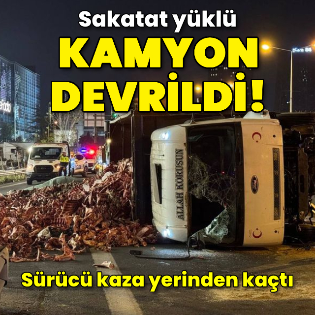 Sakatat yüklü kamyon devrildi