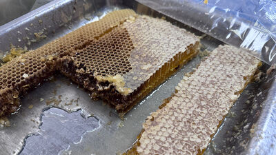 'Munzur balı' tescillendi