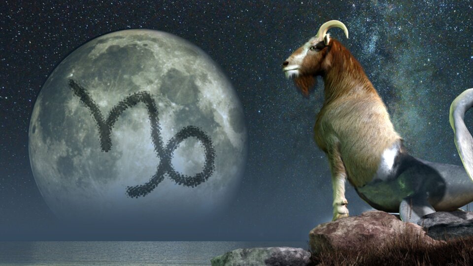 13 Ocak hangi burç?