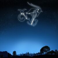 14 Ocak hangi burç?