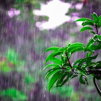 Bugün hava nasıl olacak?