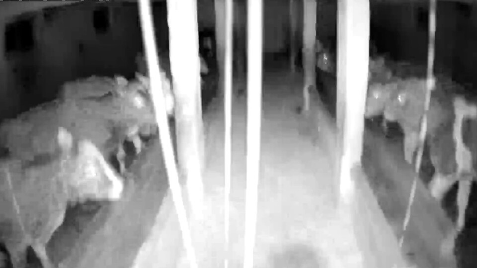 Tokat'taki 4.7'lik deprem kamerada