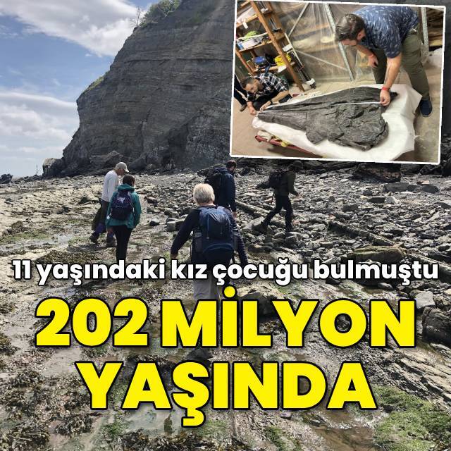 11 yaşındaki kız çocuğu bulmuştu... 202 milyon yaşında!
