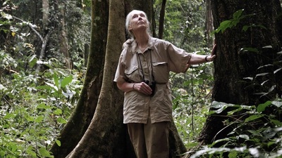 Ünlü etolog Jane Goodall Pera Müzesi'nde