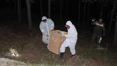 Kırmızı karınca operasyonu