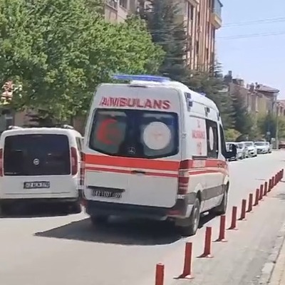  Cani torun ninesini öldürdü!