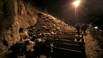 Hakkari'deki heyelanda küçükbaş hayvanlar toprak altında kaldı