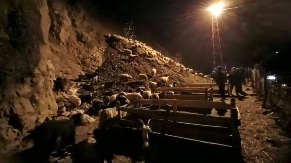 Hakkari'deki heyelanda küçükbaş hayvanlar toprak altında kaldı