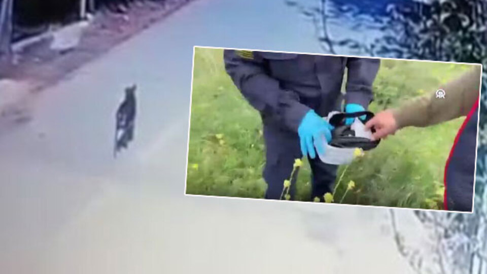 Çantanın içi ziynet eşyası doluydu! Kamera görüntüsüne inanamadılar!