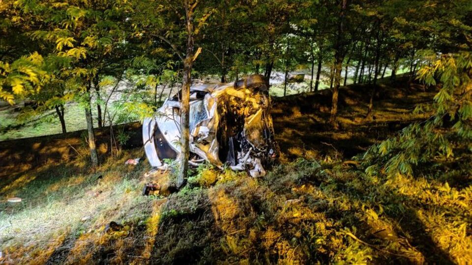 Bariyerleri aşan otomobil ağaca çarptı: 1 yaralı