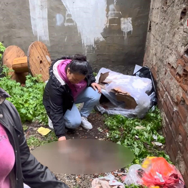 İstanbul'da vahşet: "Vicdansızlar"