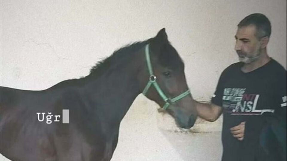 İki caninin para isteğini geri çevirince öldürüldü!