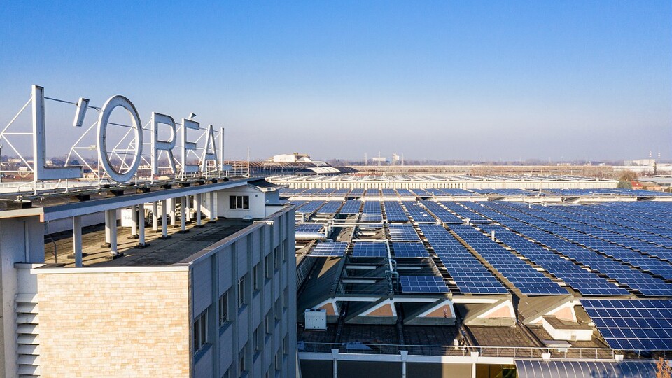 Heybeliada'da 1 hektarlık ormanı korumaya aldı