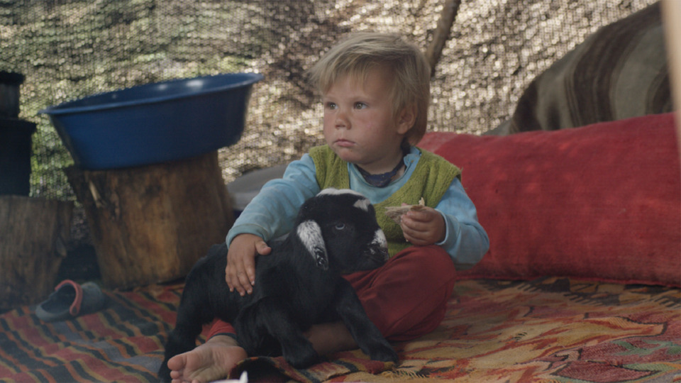 'Turna Misali' New York'ta