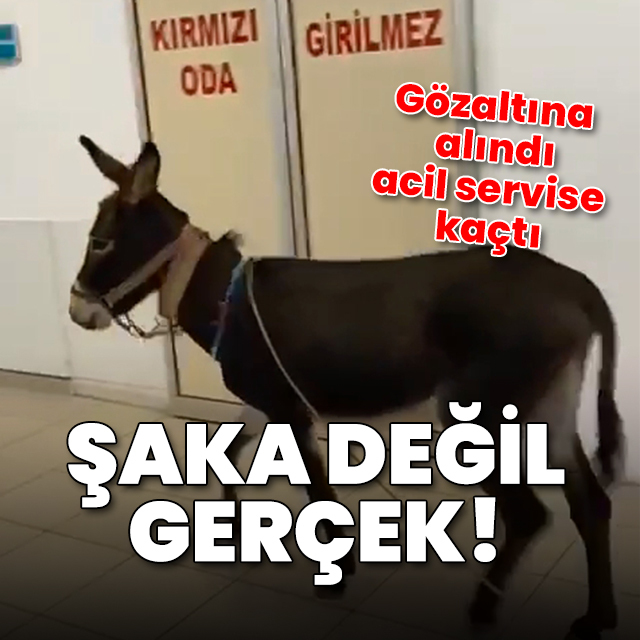 Gözaltına alınan eşek acil servise kaçtı