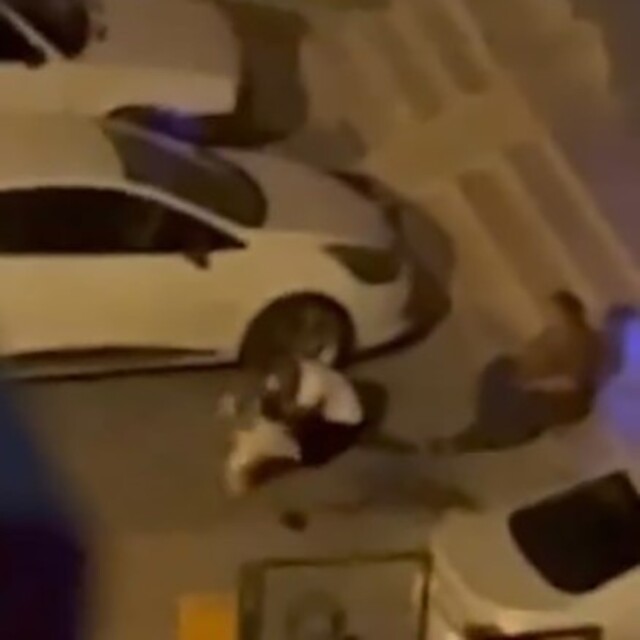 Adana'da pitbull dehşeti