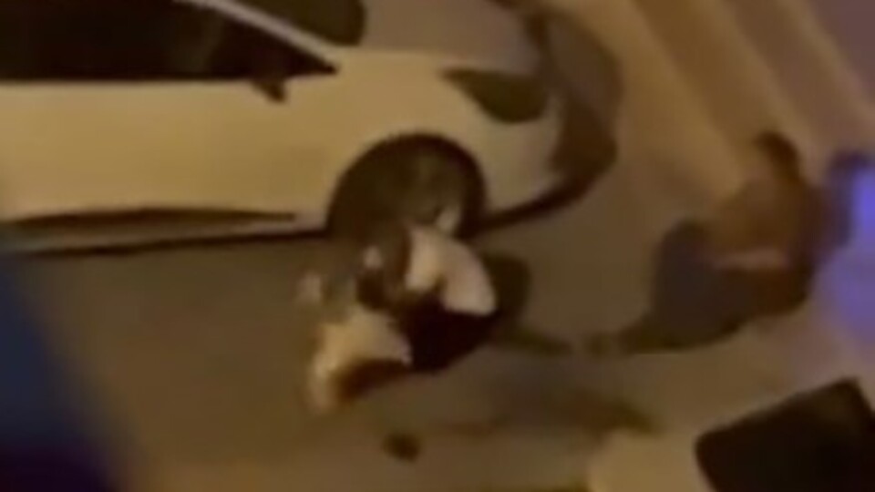 Adana'da pitbull dehşeti