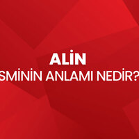 Alin isminin anlamı nedir?