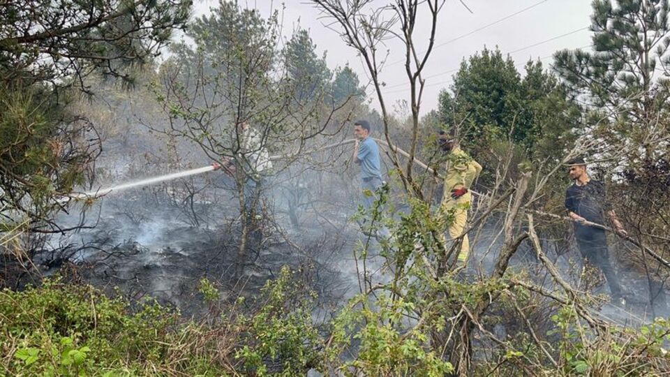 Kastamonu'da orman yangını çıktı