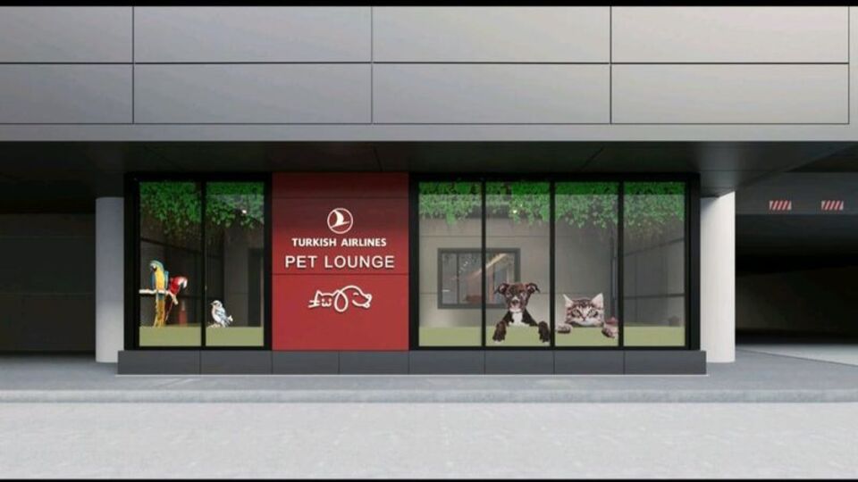 THY'den hayvan dostu proje