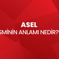Asel isminin anlamı nedir?