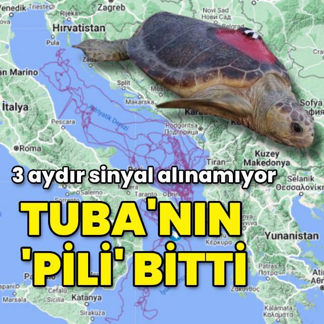 3 aydır sinyal alınamıyor! Tuba'nın pili bitti