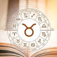 11 Şubat hangi burç?