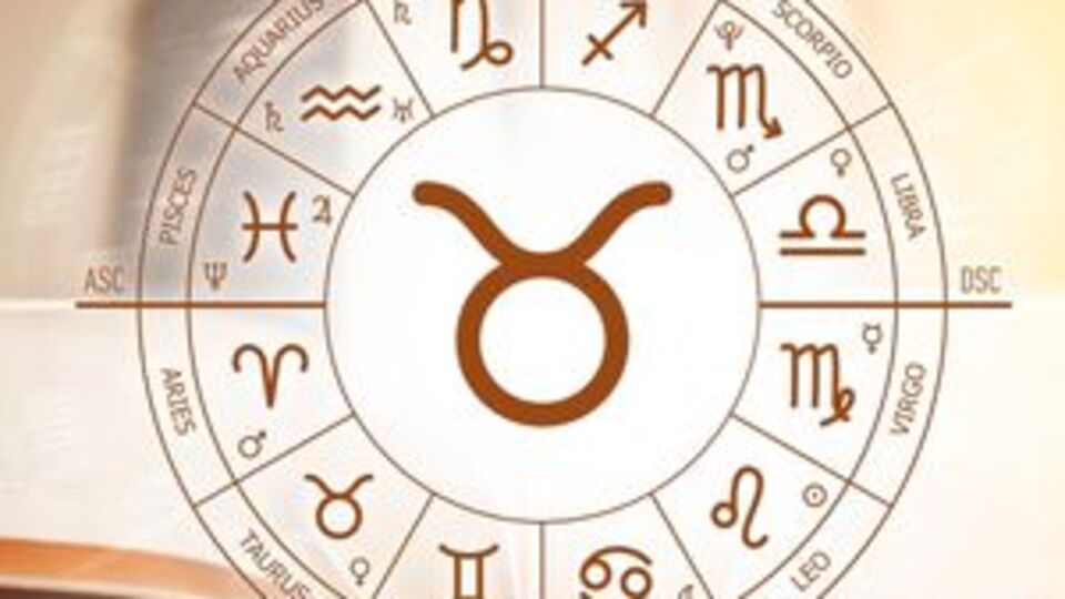 11 Şubat hangi burç?