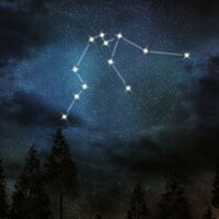 12 Şubat hangi burç?