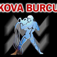 13 Şubat hangi burç?