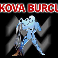 19 Şubat hangi burç?