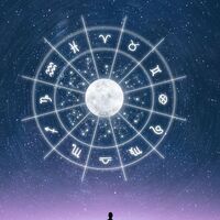 22 Şubat hangi burç?