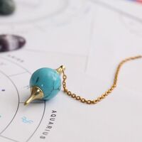 23 Şubat hangi burç?