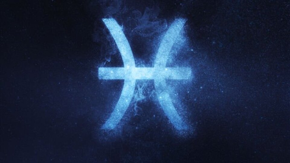 25 Şubat hangi burç?