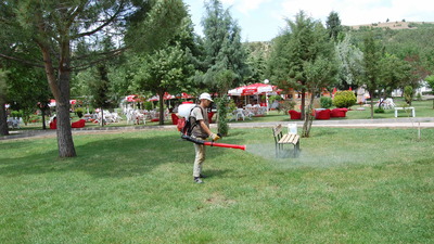 Sıcak geçen ilkbahar KKKA vakalarını mevsiminden önce artırdı