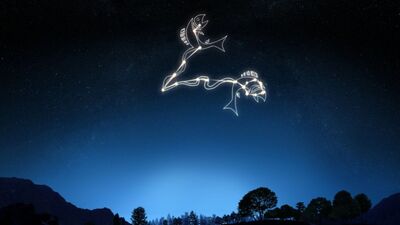 27 Şubat hangi burç?