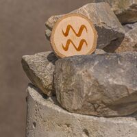 25 Ocak hangi burç?