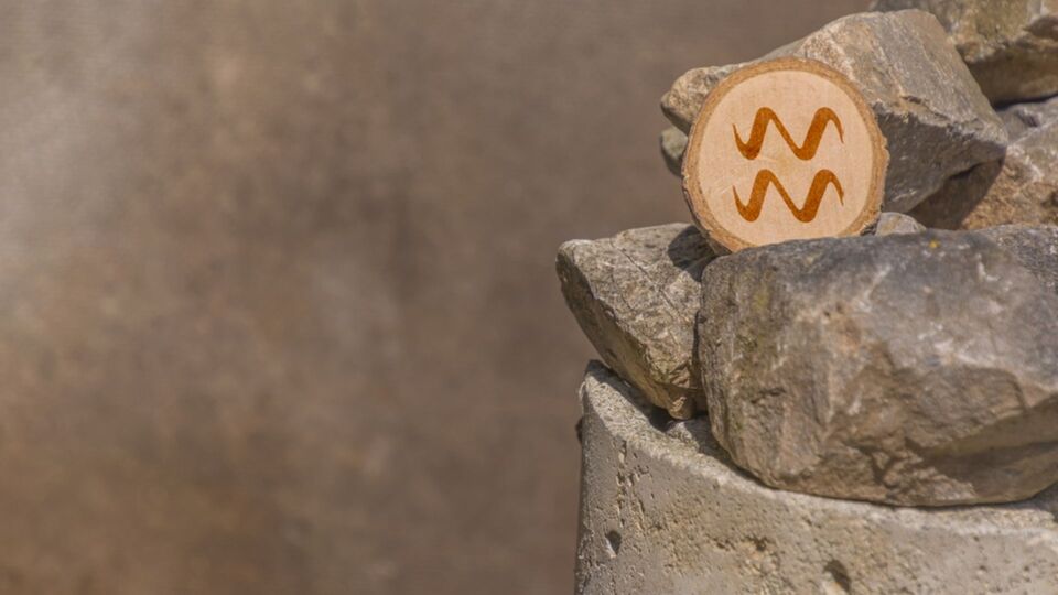 31 Ocak hangi burç?